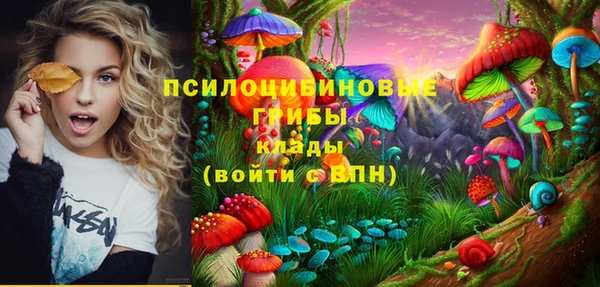 a pvp Аркадак