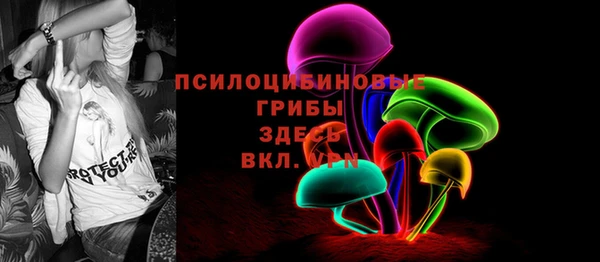 a pvp Аркадак