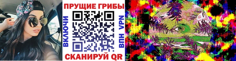 Галлюциногенные грибы мухоморы купить закладку блэк спрут маркетплейс Тихвин